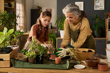 Similar image 22304579