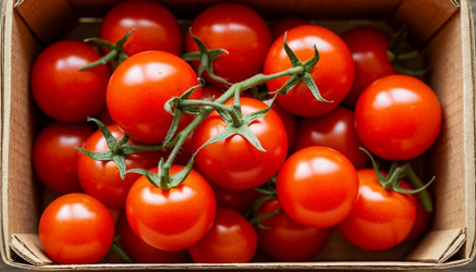 Similar image 22300876