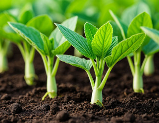 Similar image 22300834