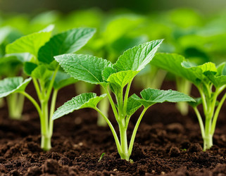 Similar image 22300877