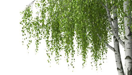 Similar image 22300841