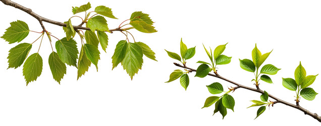 Similar image 22300891