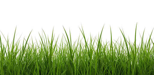 Similar image 22300768