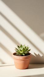 Similar image 22300775