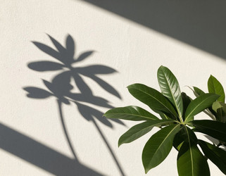 Similar image 22300846