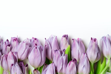 Similar image 22292426