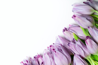 Similar image 22292427