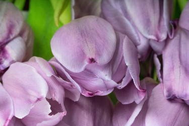 Similar image 22292428