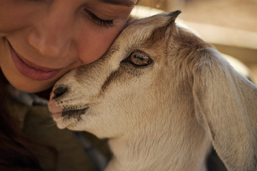 Similar image 22306497