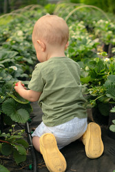 Similar image 22292431