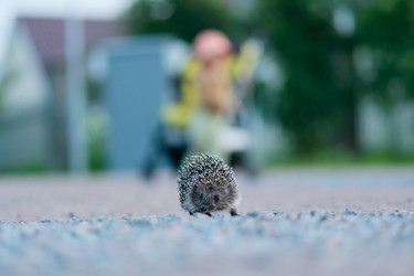 Similar image 22292433