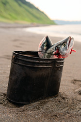 Similar image 22292438