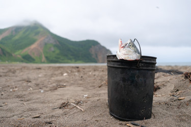 Similar image 22292440