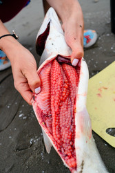 Similar image 22292441