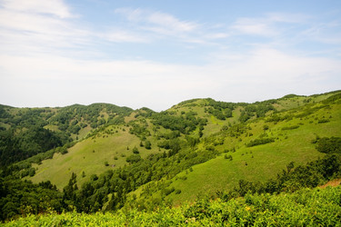 Similar image 22292450