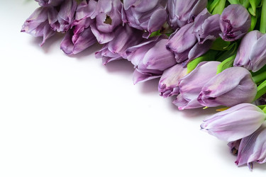 Similar image 22292459