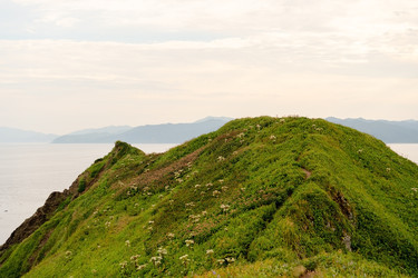 Similar image 22292461