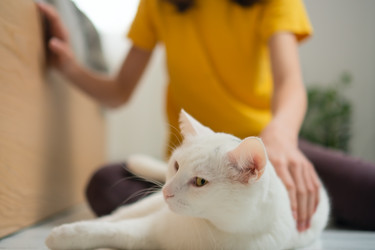 Similar image 22292471