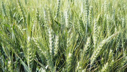 Similar image 22310115