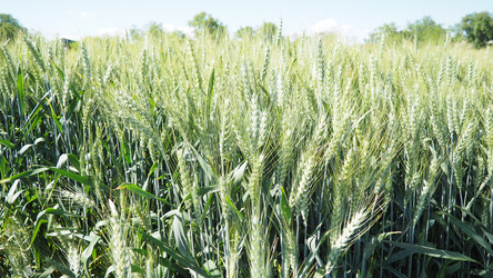 Similar image 22310435