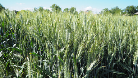 Similar image 22310436