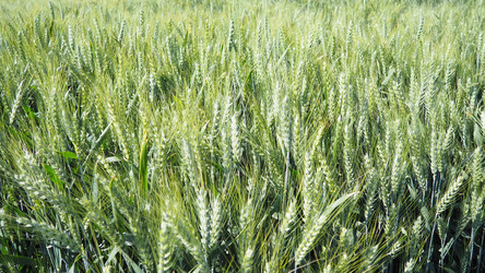 Similar image 22310437