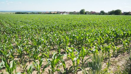 Similar image 22310438