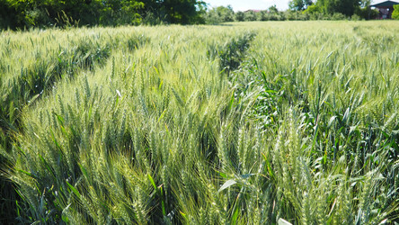 Similar image 22310439