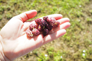 Similar image 22310441