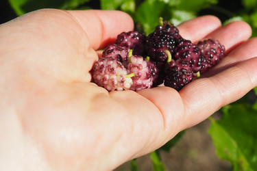 Similar image 22310442