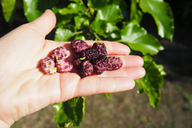 Similar image 22310443