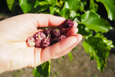 Similar image 22310444