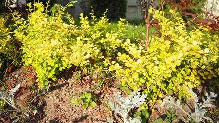 Similar image 22310445