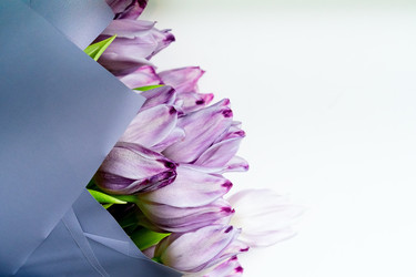 Similar image 22292476