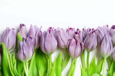 Similar image 22292477