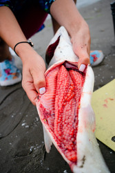 Similar image 22292483