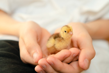 Similar image 22292492