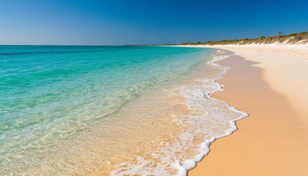 Similar image 22300788