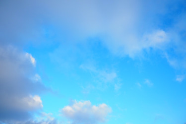 Similar image 22310695