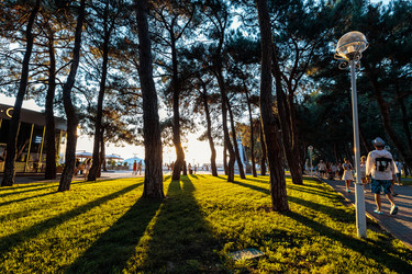 Similar image 22319656