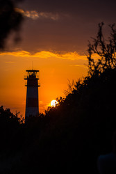 Similar image 22317124