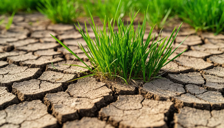 Similar image 22300854