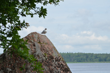 Similar image 22291085