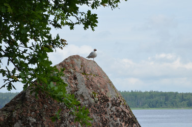 Similar image 22291086