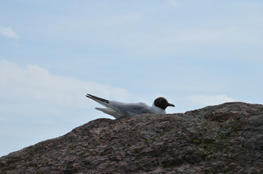 Similar image 22291087