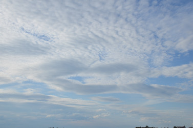 Similar image 22296288