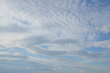 Similar image 22296289