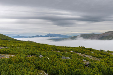 Similar image 22317133