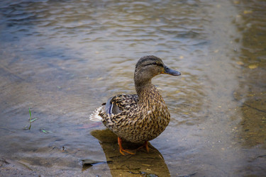 Similar image 22317134