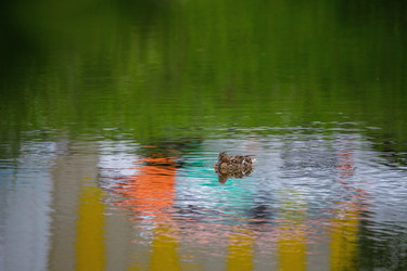 Similar image 22317135